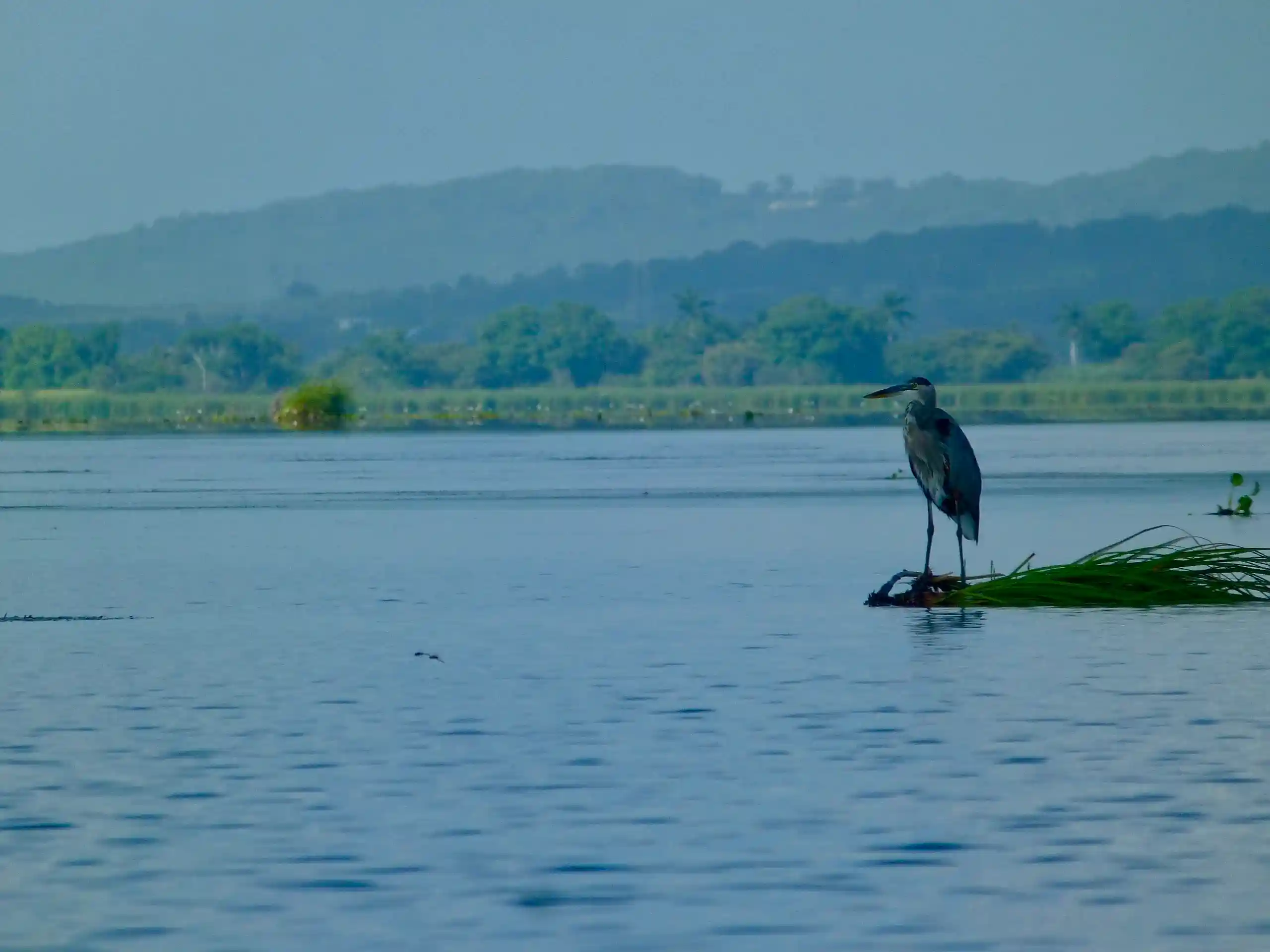 Watching The Surroundings