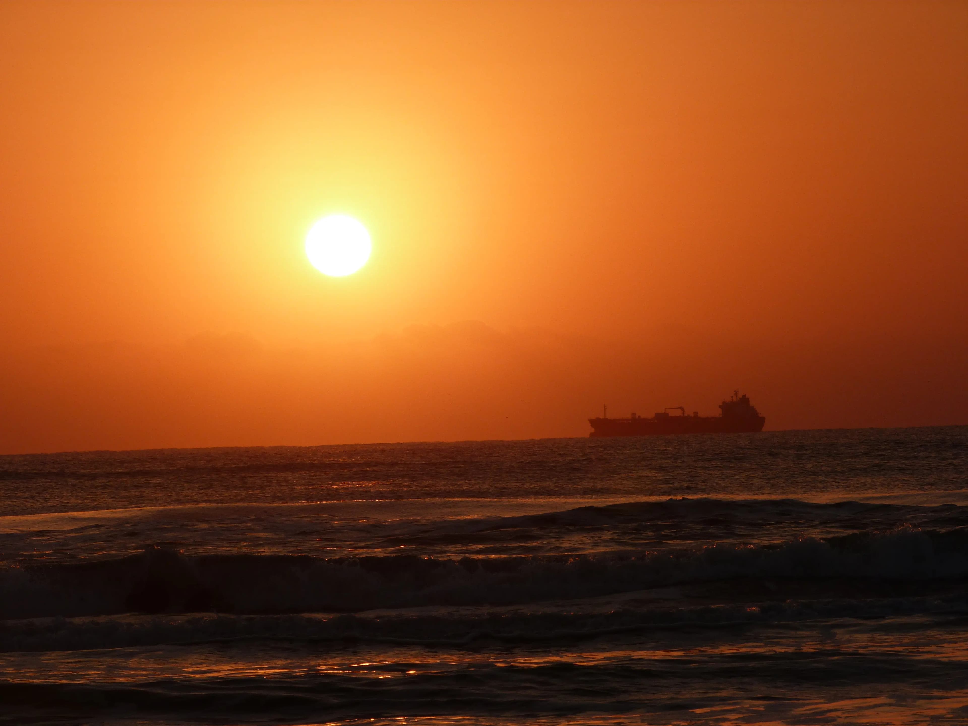 Something In The Sea